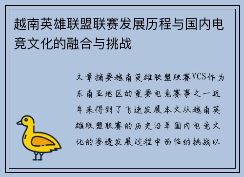 越南英雄联盟联赛发展历程与国内电竞文化的融合与挑战